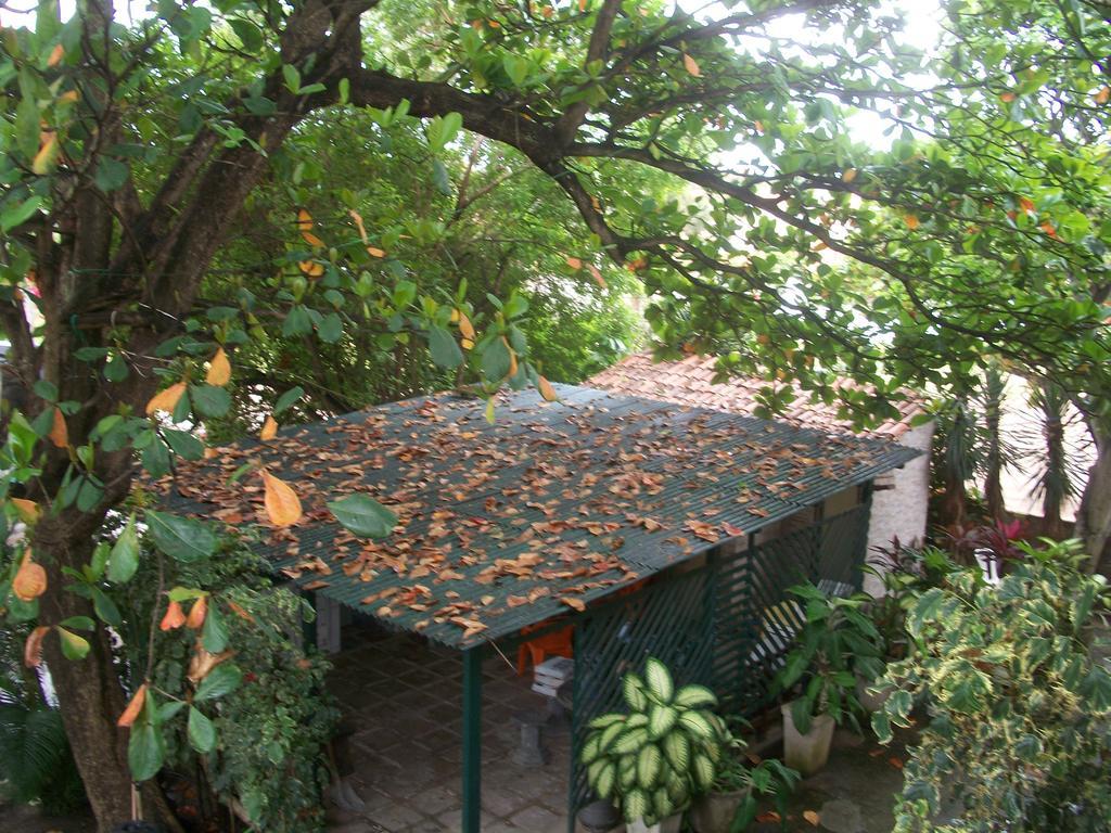 Pousada Ricardinho Do Frances Hotel Praia do Frances Exterior photo